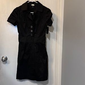 Alexia Admor Black Dress with Short Sleeves Size 2